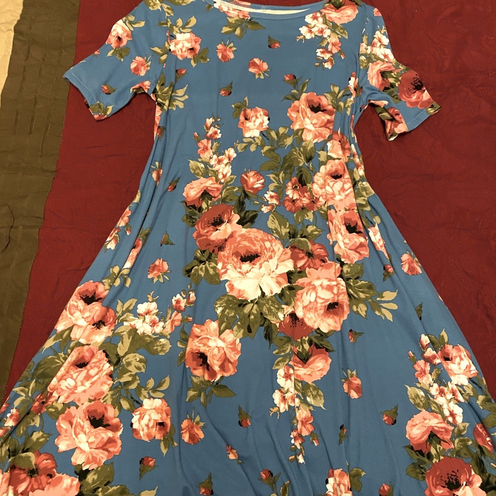 Blue Floral Dress with pockets.